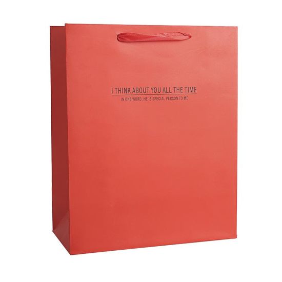 Dropshipping Outlet Simple Solid Color Clothing Bag Paper Bag Gift Support Custom Color Optional