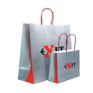 China Luxury Gift Bag Custom Paper Packaging Shopping Bag