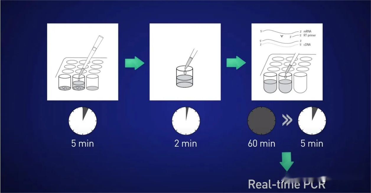 كيفية تحسين حساسية تفاعل RT-PCR للكشف عن الحمض النووي الريبي