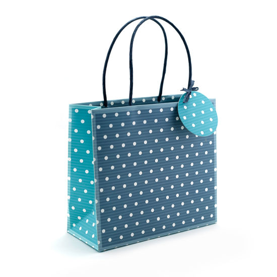 Europe Style Custom-Made Polka DOT Paper Gift Bags para sa Chain Boutique