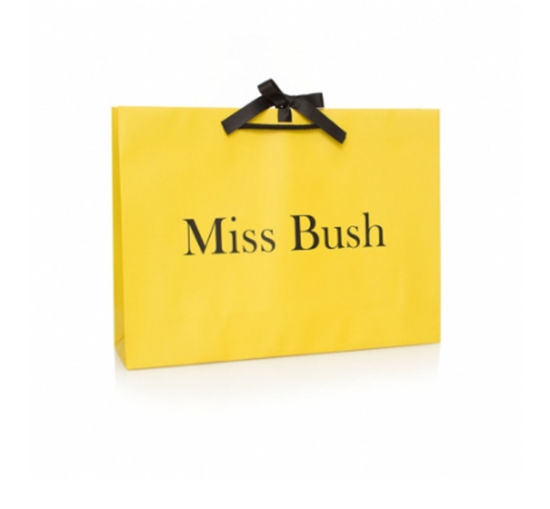 Veľká sviatočná papierová darčeková taška s rúčkami na nákupy v maloobchode