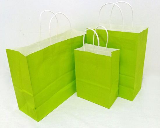 White Kraft Paper Shopping Application Retail Light Green Bag