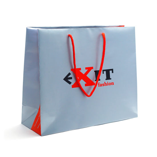 Custom Printed Coated Paper Bag Shopping Bag for Clothes/Apparel/Gift