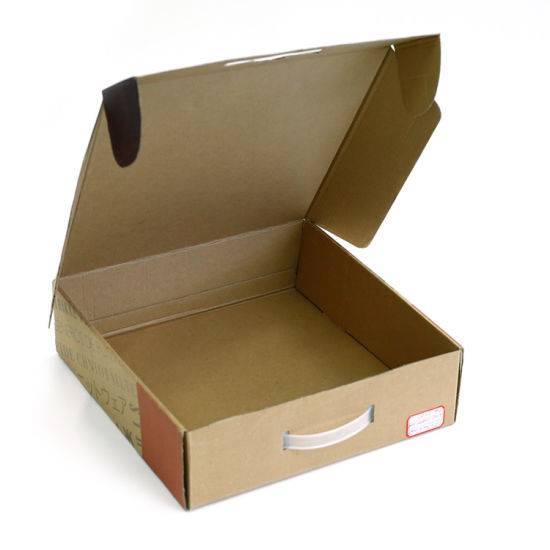 Wholesale Custom Printed Carton Corrugated Paper Packaging Shipping Box with Handle