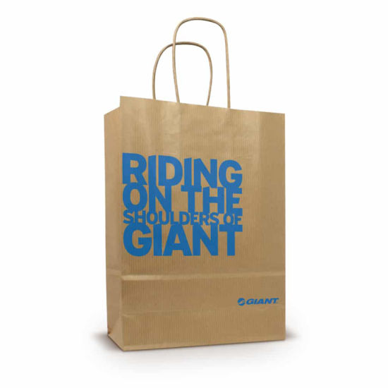 ફેશન સ્ટોર્સમાં ઉચ્ચ-ગુણવત્તાવાળી પ્રિન્ટેડ ટ્વિસ્ટેડ હેન્ડલ પેપર બેગનો ઉપયોગ થાય છે