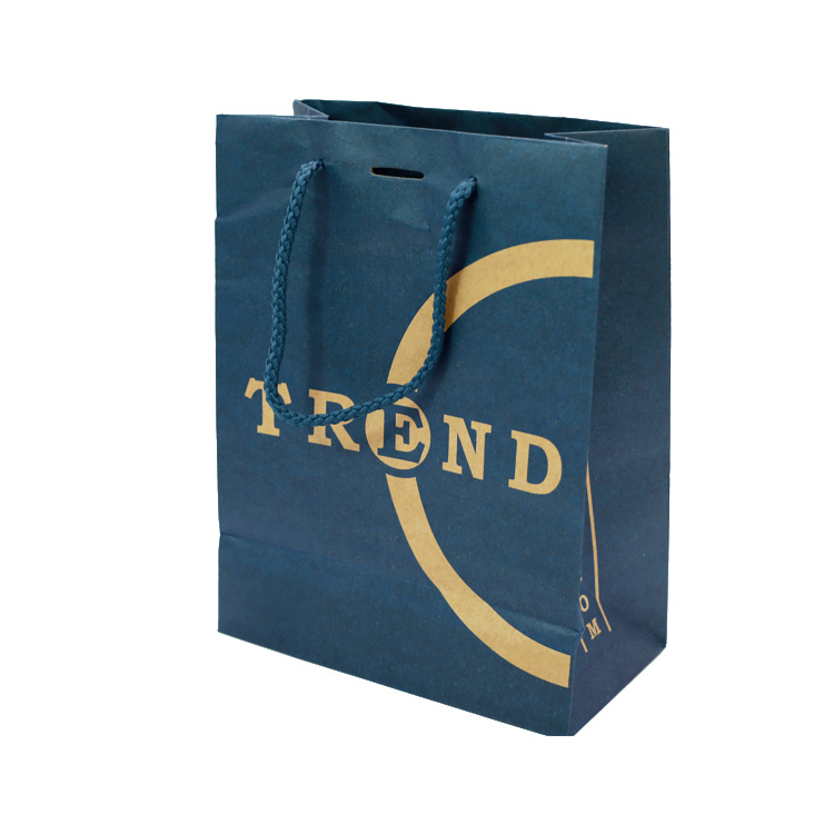 Cheap Custom Small Retail Cosmetic Packaging Promotion Gift Shopping Paper Bag with Rope Handles